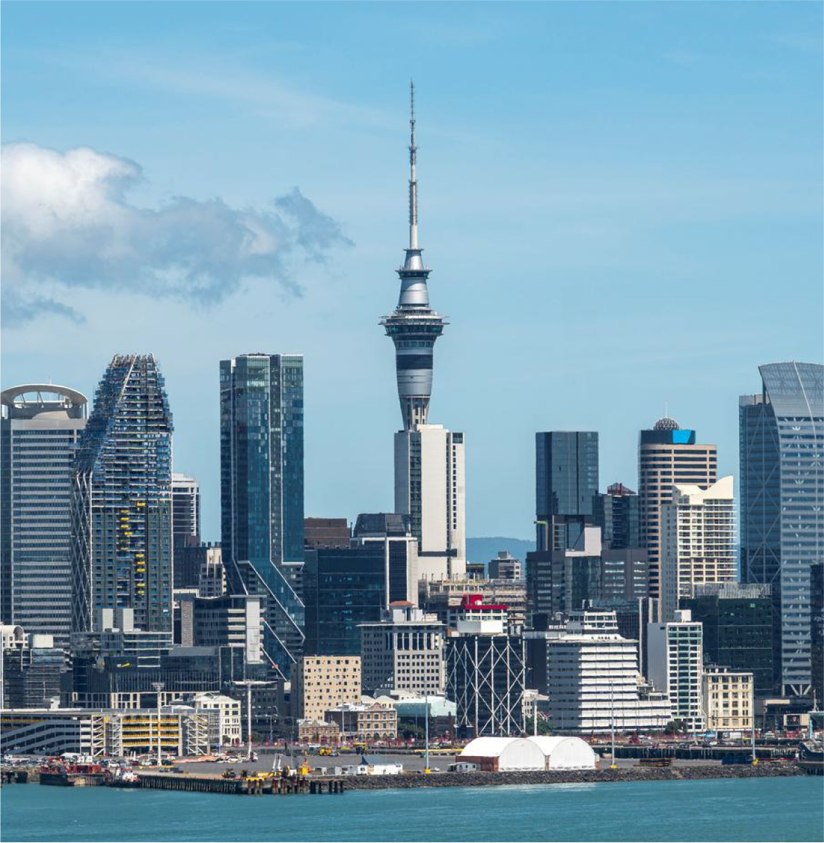 Advisewise-Study-Abroad-Countries-Newzealand