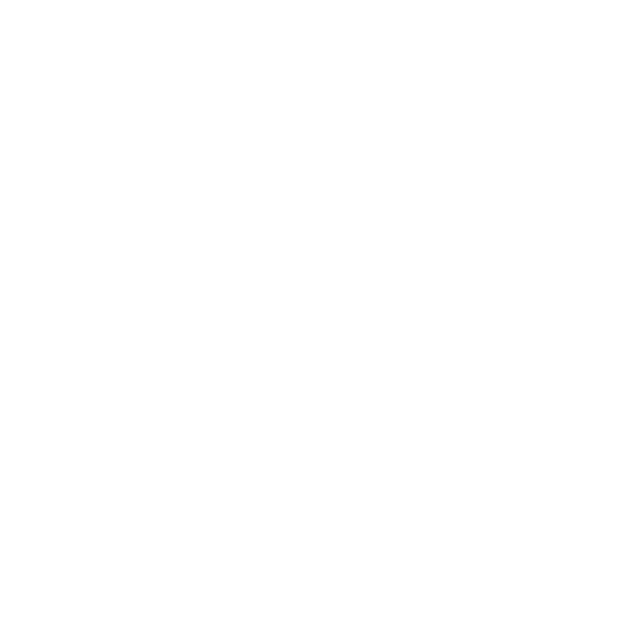 Advisewise-Study-Abroad-Success-Icon