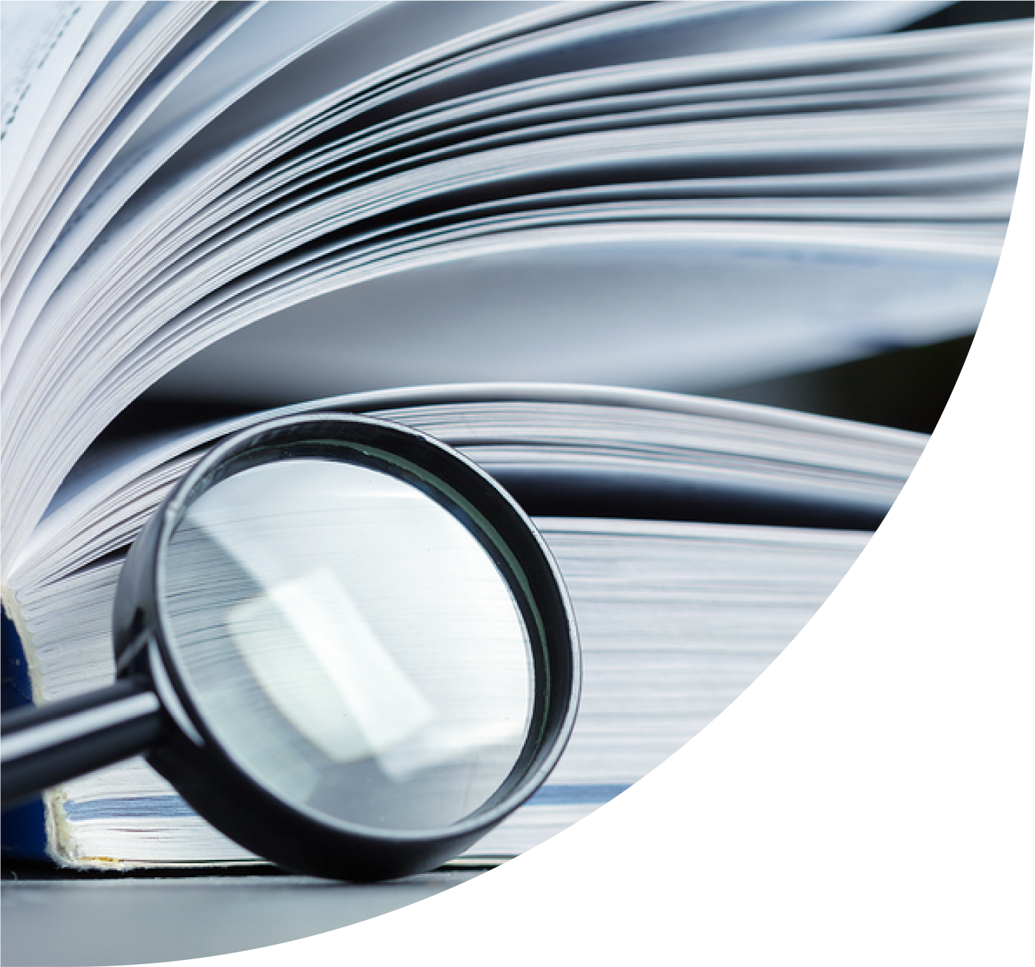 Advisewise-Study-Abroad-Why-Study-Excellent-Research-Framework